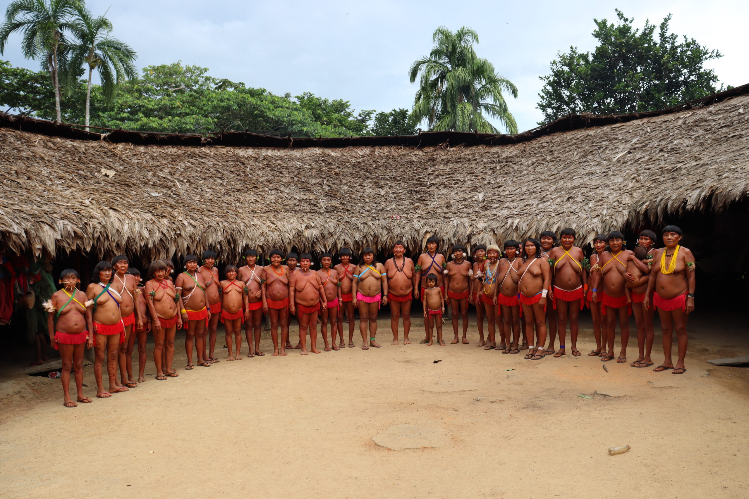 Jogador: ajude a proteger a floresta em “Save Amazônia