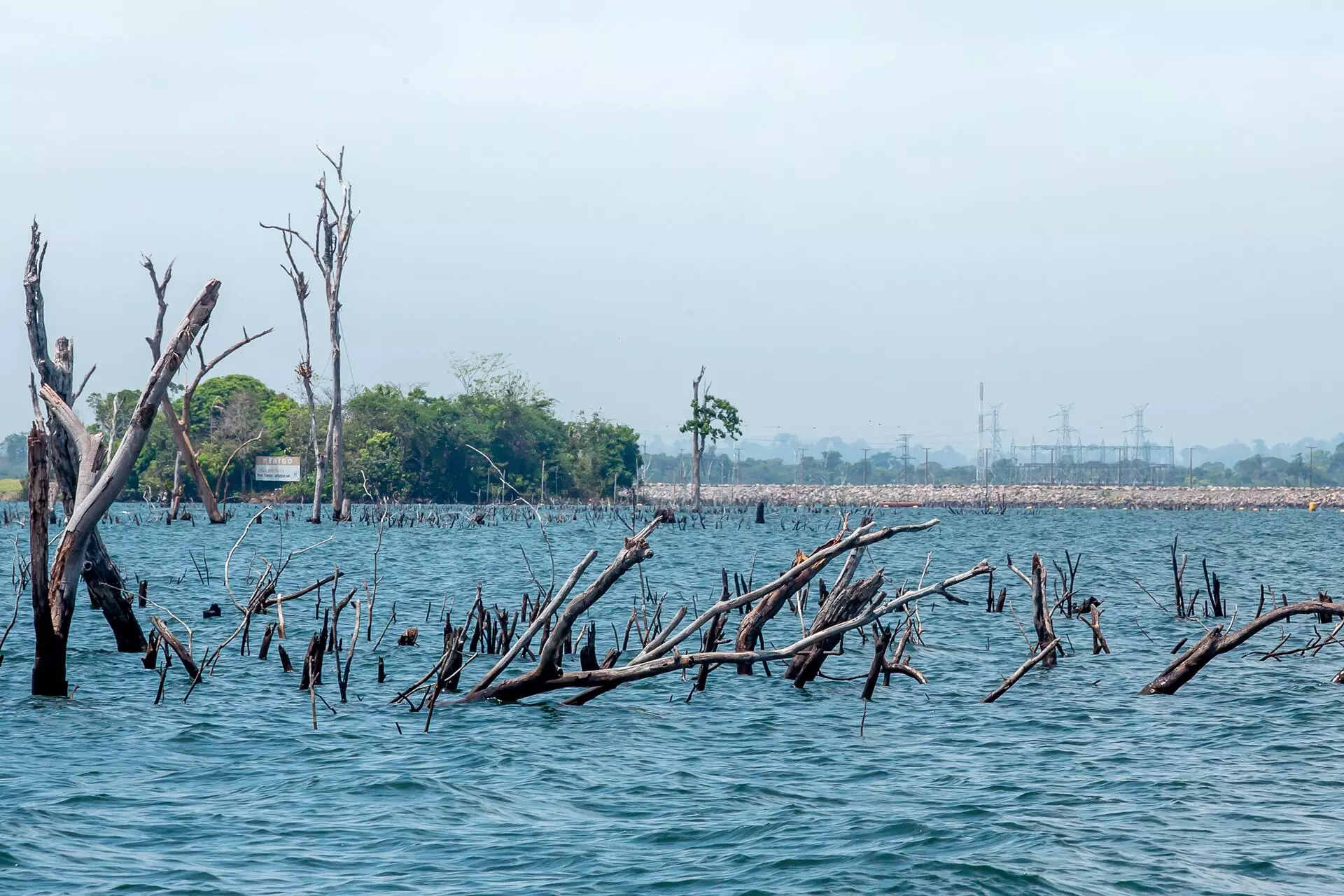 Reservatório de Belo Monte é cemitério de árvores, que perderam a vida no alagamento provocado pela hidrelétrica. Foto: Lela Beltrão/SUMAÚMA